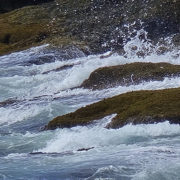 Meet your Posher, Eccentric Annie - Picture 2 of 8